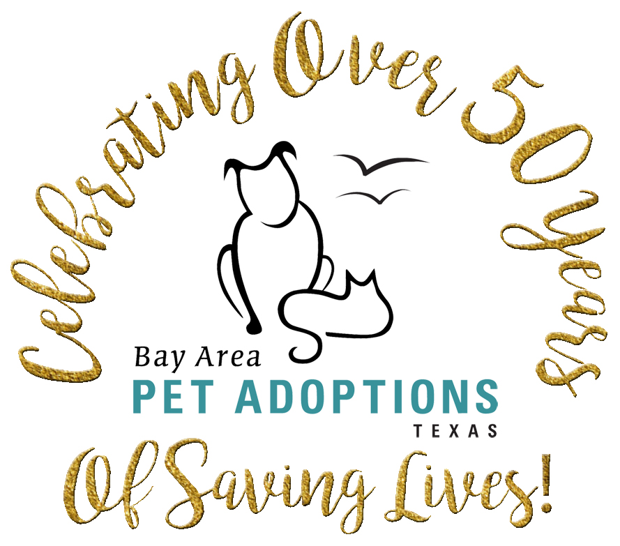 BAPA Awarded Petfinder COVID-19 Operation Grant